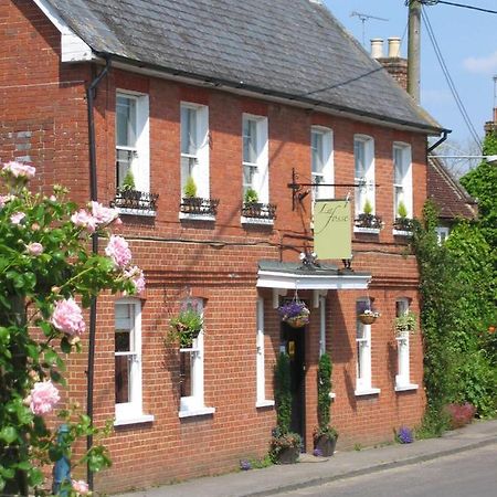 Bed and breakfast La Fosse At Cranborne Extérieur photo